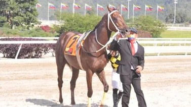 Condicional especial para caballos queda pareja en La Rinconada