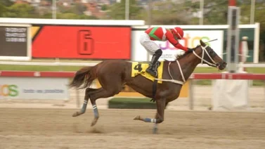 Yegua que siempre es favorita reaparece en su lote en La Rinconada con 42 días de descanso