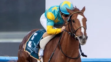 Así trabajan los caballos japoneses para el Kentucky Derby (+Video)