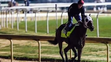 Sacrifican a caballo que iba a participar en el Kentucky Derby 2023