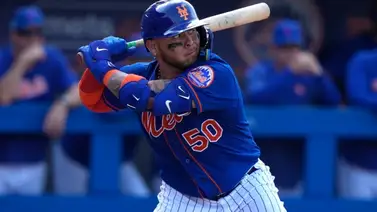 MLB: Francisco Álvarez no sufrió lesión y estará disponible este viernes MLB: Francisco Álvarez no sufrió lesión y estará disponible este viernes