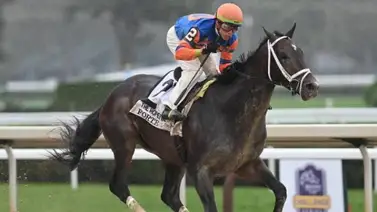 Así están las apuestas en Las Vegas para el Kentucky Derby Así están las apuestas en Las Vegas para el Kentucky Derby