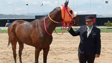 Datos de Última Hora para el Hipódromo de Valencia 18-5-2024 Datos de Última Hora para el Hipódromo de Valencia 18-5-2024