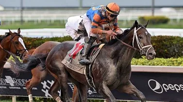 ¡Hoy es el sorteo de los puestos de pista del Kentucky Derby 2023! Conoce aquí donde ver y a qué hora es este evento