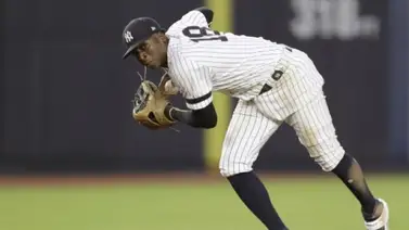 LMB: Ex-campocorto de los Yankees jugará en la Liga Mexicana de Beisbol LMB: Ex-campocorto de los Yankees jugará en la Liga Mexicana de Beisbol