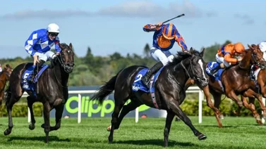 Este es el primer favorito para el inicio de la Triple Corona en Inglaterra