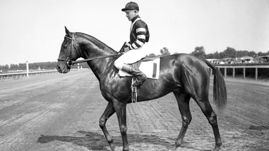¡Campeones! Estos son los 13 triplecoronados del hipismo en Estados Unidos