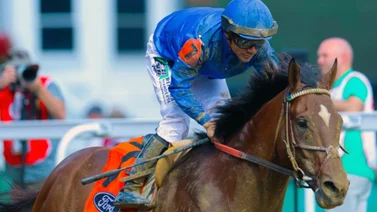 Junior Alvarado se luce con par de victorias en este óvalo de Estados Unidos