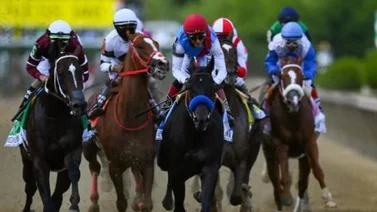Conozcan algunas curiosidades interesantes sobre el Preakness Stakes