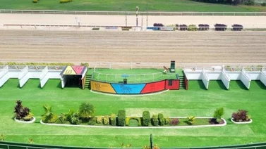 Conoce cómo ajustó este ejemplar antes de su competencia dominical en La Rinconada
