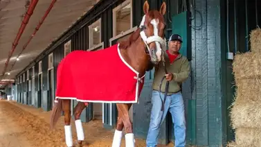 Así llegó Mage a Pimlico de cara al Preakness Stakes 2023 Así llegó Mage a Pimlico de cara al Preakness Stakes 2023