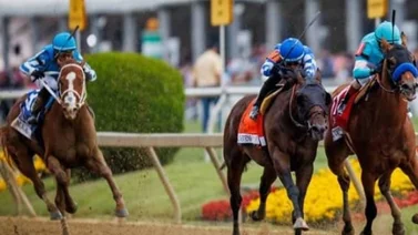 ¿Correrá Mage el Belmont Stakes? Aquí te lo contamos