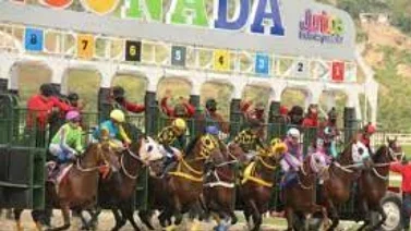 Monto récord en el monto sellado del 5y6 en La Rinconada