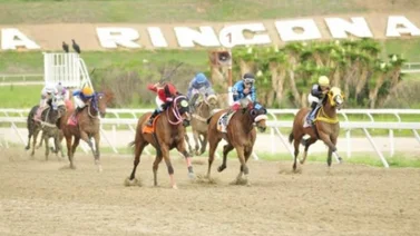 Esto informó Johan Aranguren sobre su conducido Señor Indriago en la primera carrera en La Rinconada