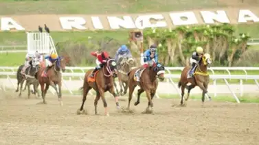 Esto informó Johan Aranguren sobre su conducido Señor Indriago en la primera carrera en La Rinconada Esto informó Johan Aranguren sobre su conducido Señor Indriago en la primera carrera en La Rinconada