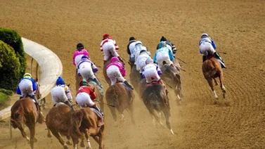 Aquí te decimos cuál es el nuevo programa anti-dopaje en el hipismo de Estados Unidos