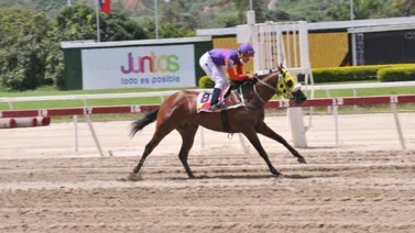 Así ajustó Bitcoin de cara a su carrera del domingo en La Rinconada
