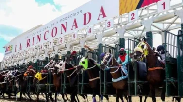 Conoce el ajuste de este ejemplar previo a su debut el domingo en La Rinconada