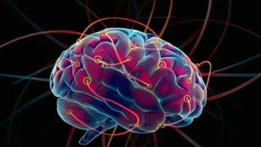 Conoce el caso de un hombre con parálisis que vuelve a caminar gracias a la ciencia