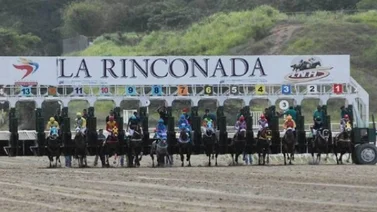 Mira el ajuste de uno de los fijos de la reunión 20 de La Rinconada
