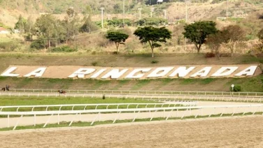 Mira como fue el ajuste del ejemplar que puede tumbar los cuadros del domingo en La Rinconada