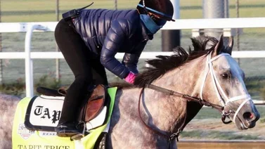 Mira el briseo que hizo Tapit Trice este viernes en Belmont Park