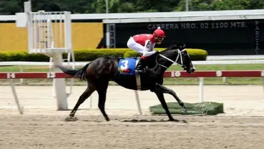 Este pupilo de Ramón García Mosquera se lució en su ajuste del miércoles en La Rinconada Este pupilo de Ramón García Mosquera se lució en su ajuste del miércoles en La Rinconada