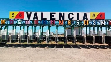 Copa Oro cierra la temporada hípica el sábado en Valencia