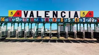 Copa Oro cierra la temporada hípica el sábado en Valencia Copa Oro cierra la temporada hípica el sábado en Valencia