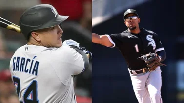 MLB: Elvis Andrus y Avisail García empezarán rehabilitación en Triple A