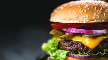 Hoy se celebra el Día Internacional de la Hamburguesa Hoy se celebra el Día Internacional de la Hamburguesa