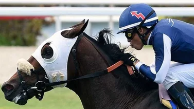 Emisael Jaramillo se luce en Gulfstream Park y está más cerca de los 1.500 triunfos
