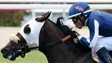 Emisael Jaramillo se luce en Gulfstream Park y está más cerca de los 1.500 triunfos Emisael Jaramillo se luce en Gulfstream Park y está más cerca de los 1.500 triunfos
