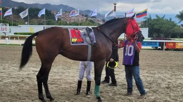 Así llegó Loor Nerio luego de su carrera en La Rinconada