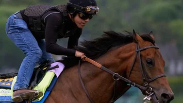 Mira como entrenó este caballo de Bob Baffert que va a reaparecer en julio