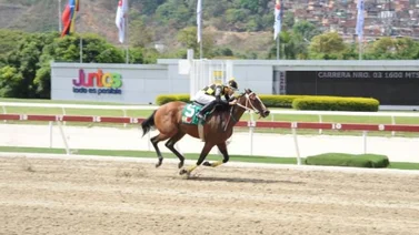 Clásico Hipódromo La Rinconada abre la Triple Corona de yeguas