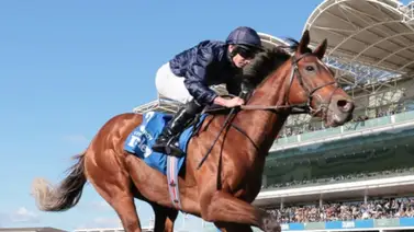 Hijo de Justify gana el Epson Derby (G1): El clásico más longevo del mundo Hijo de Justify gana el Epson Derby (G1): El clásico más longevo del mundo