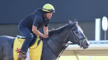 Propietario venezolano busca ganar su primer Stakes en Estados Unidos Propietario venezolano busca ganar su primer Stakes en Estados Unidos