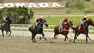 Datos de última hora para el Hipódromo Internacional La Rinconada 2-6-2024 Datos de última hora para el Hipódromo Internacional La Rinconada 2-6-2024