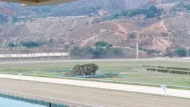 Favoritos de la cátedra para la reunión N°21 en el hipódromo La Rinconada Favoritos de la cátedra para la reunión N°21 en el hipódromo La Rinconada