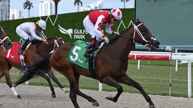 Así quedaron los resultados de las carreras Gulfstream Park 1-6-2024