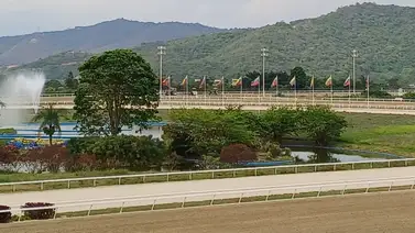 Estos son los ejemplares con más fuerza para la reunión 21 de La Rinconada Estos son los ejemplares con más fuerza para la reunión 21 de La Rinconada