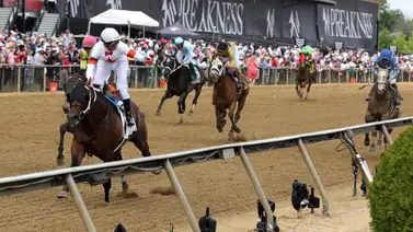 Hijos de famoso entrenador Hall of Fame se caen el mismo día en diferentes hipódromos Hijos de famoso entrenador Hall of Fame se caen el mismo día en diferentes hipódromos