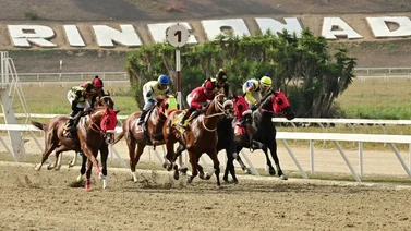 Potro que de ganar tumbaría todos los cuadros ajusta bien en La Rinconada