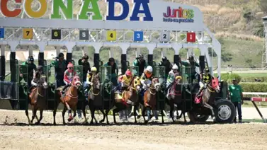 Estos son los retirados de la reunión 21 en La Rinconada 2-6-2024 Estos son los retirados de la reunión 21 en La Rinconada 2-6-2024