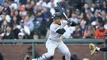 MLB: Juan Soto busca ser el único dominicano en lograr este hito (+datos) MLB: Juan Soto busca ser el único dominicano en lograr este hito (+datos)