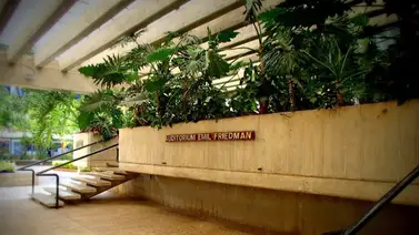 ¡Música con educación! Colegio Emil Friedman celebró por todo lo alto su aniversario número 75 ¡Música con educación! Colegio Emil Friedman celebró por todo lo alto su aniversario número 75