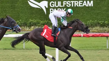Así quedaron los resultados de las carreras Gulfstream Park 2-6-2024 Así quedaron los resultados de las carreras Gulfstream Park 2-6-2024