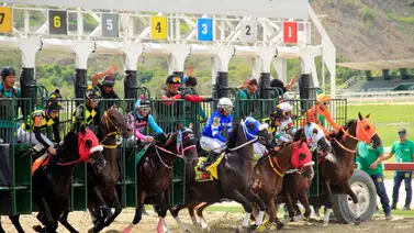Así paga el 5y6 nacional este domingo en la reunión 21 de La Rinconada Así paga el 5y6 nacional este domingo en la reunión 21 de La Rinconada