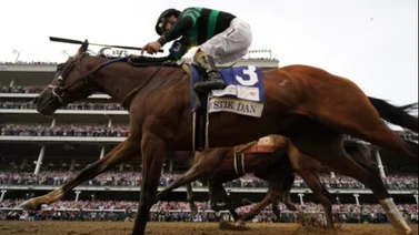 Mystik Dan confirmado para buscar este sábado la doble corona en el Belmont Stakes (G1)